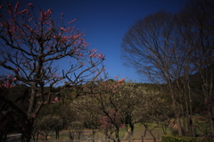 100220-0027