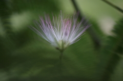 0907sp-0010