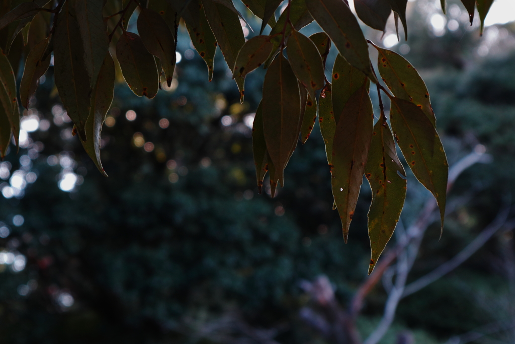 2019_11_10_02