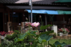 0907sp-0012