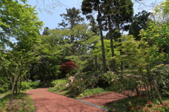 20100504-0034