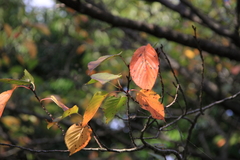091018-0043