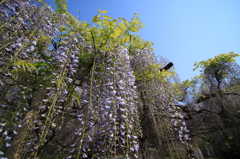 20100501-0034
