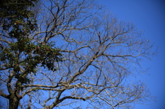 100221-0008