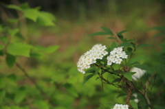 20100502-0113