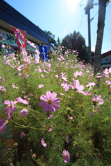 090920-0039