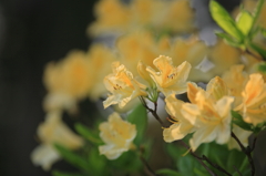 20100501-0024