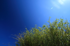 090920-0008