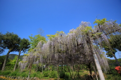 20100501-0037