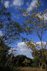 091018-0055