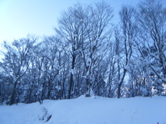 DSCF0147