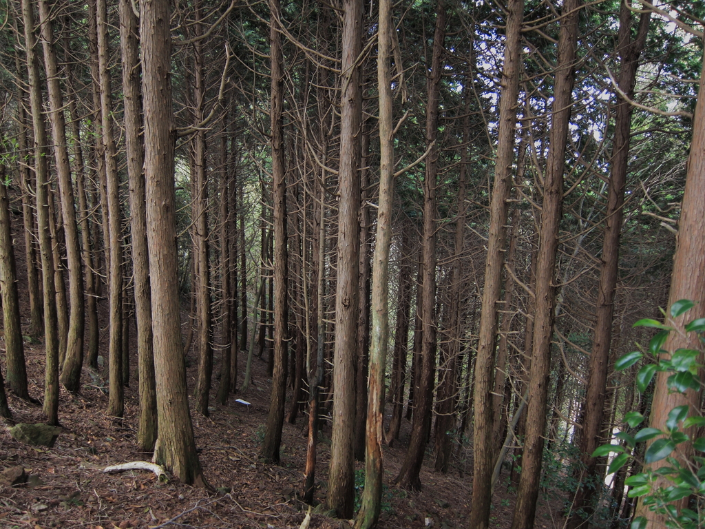 20100424-0038