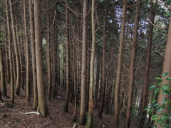 20100424-0038