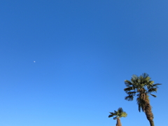 20100424-0063