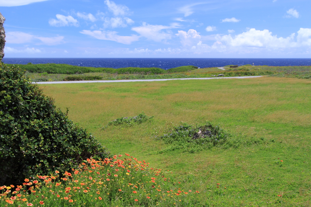 東平安名崎(宮古島)