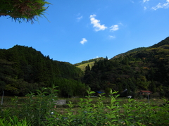 露天風呂から見えた風景
