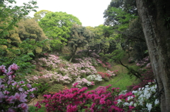 20100502-0099