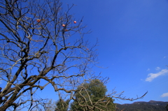 100124-0040