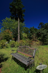 090920-0029