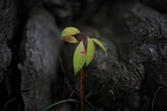 100314-0005