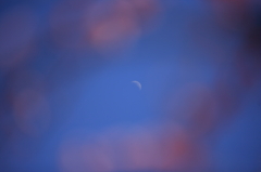 100220-0079