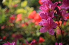 20100502-0064