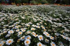 20100501-0019