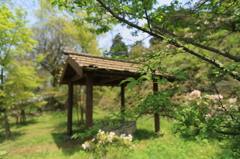 20100504-0022