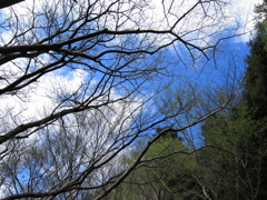 20100424-0040