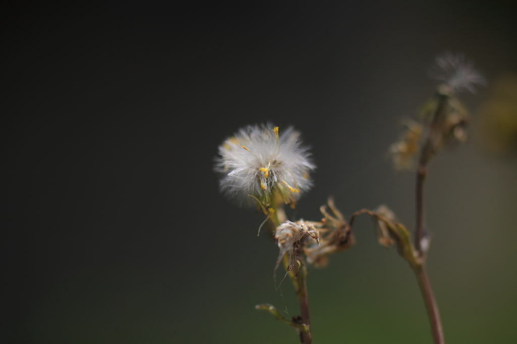 20100504-0003