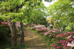 20100502-0056