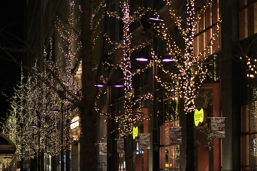 イルミネーション