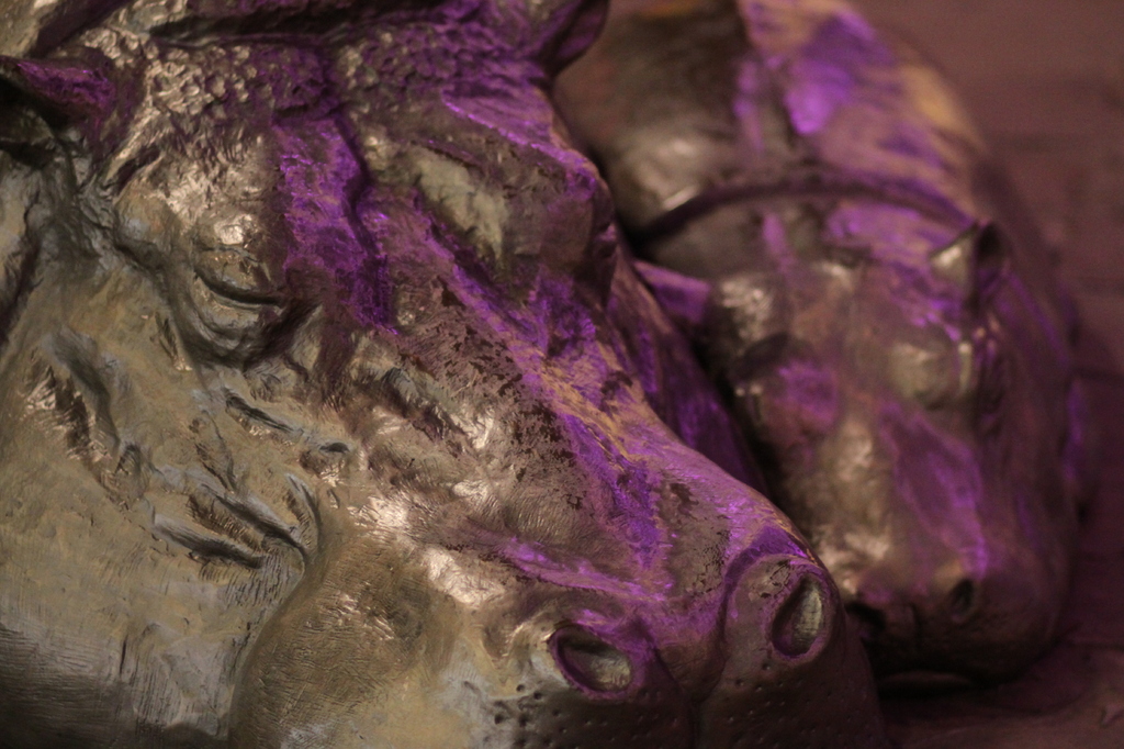 イルミネーション河馬