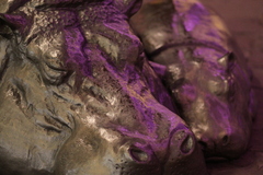 イルミネーション河馬