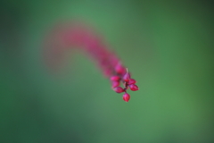 090920-0033