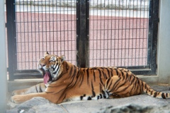 福山市立動物園