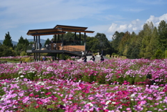 国営備北丘陵公園（庄原市