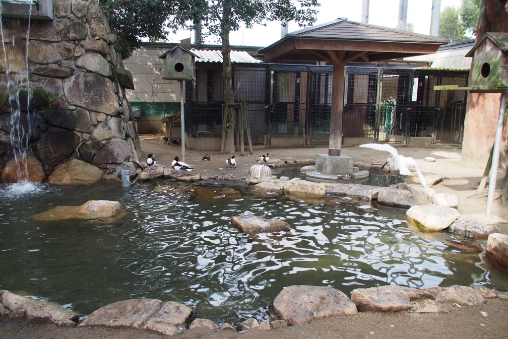 福山市立動物園