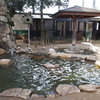 福山市立動物園