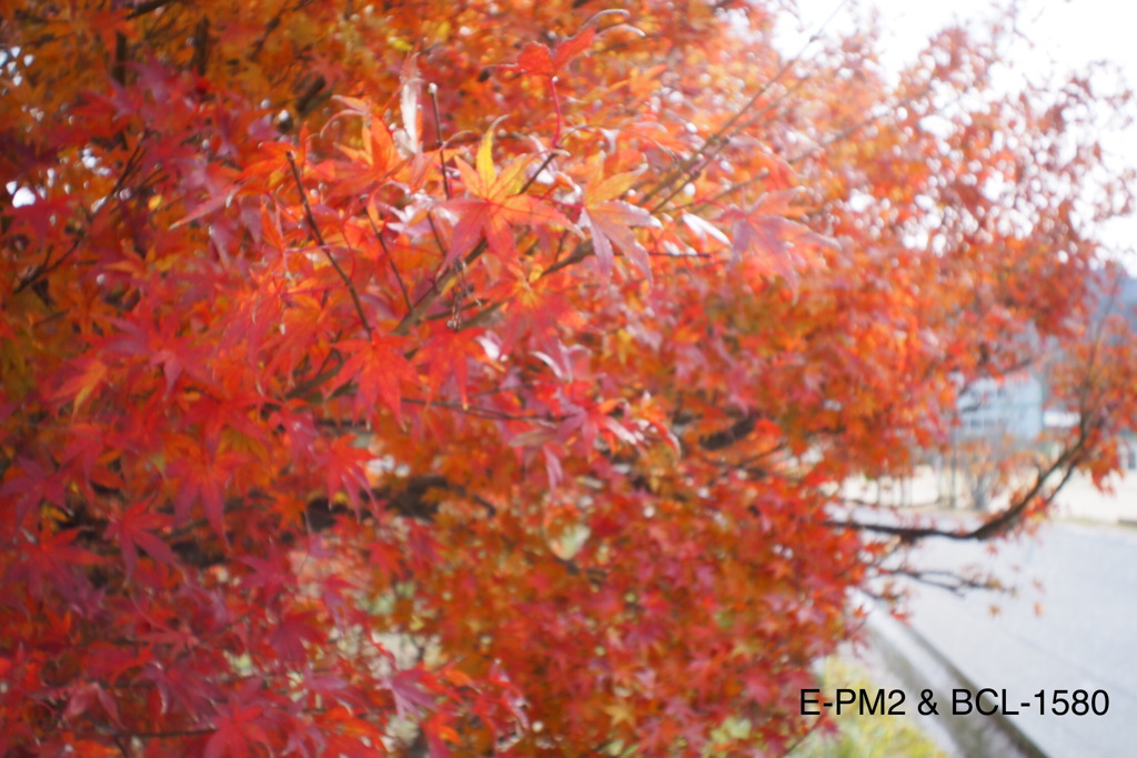 福山市立動物園