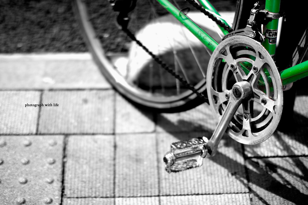 ワンポイントカラー