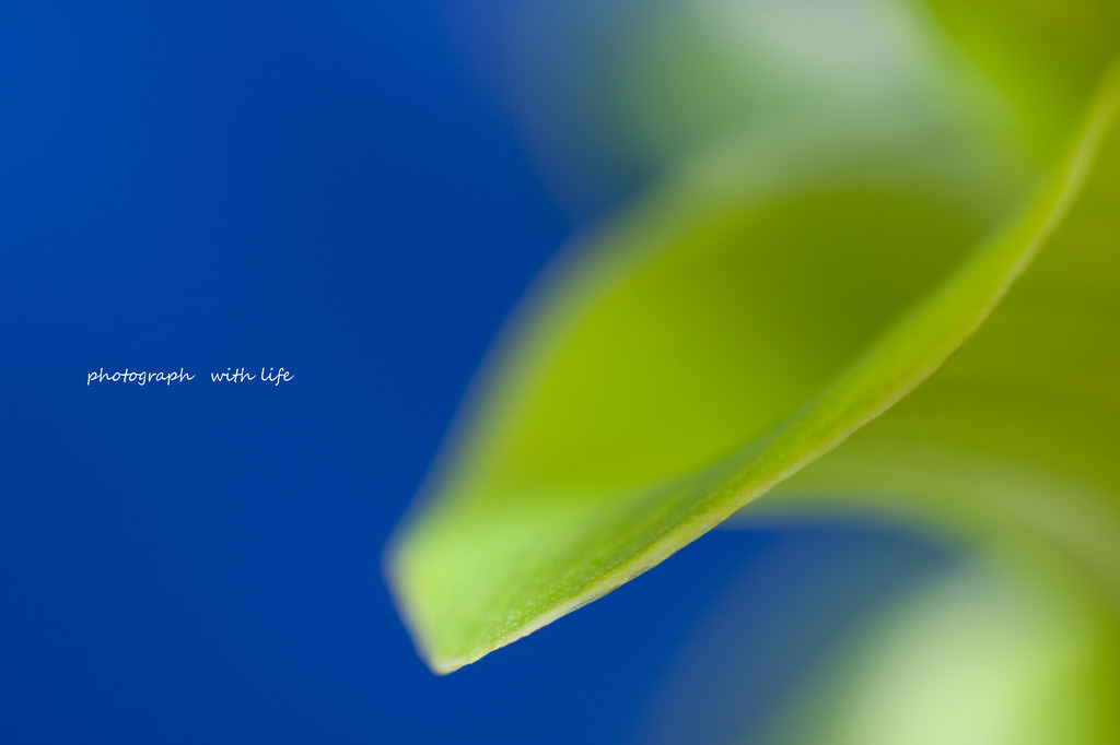 The world of macro　NO.9