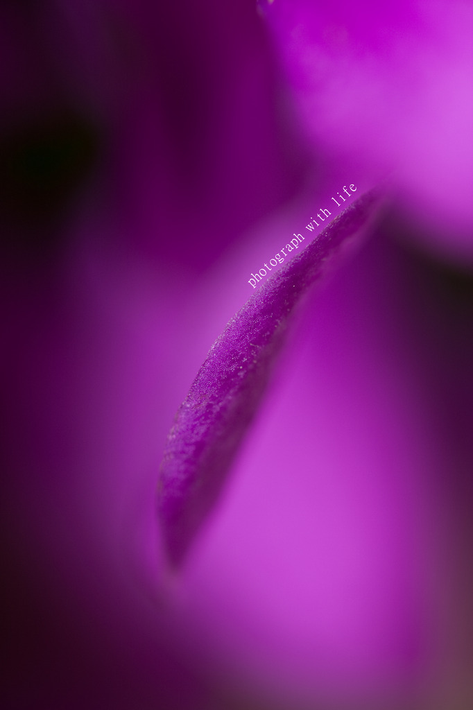 The world of macro　NO.8