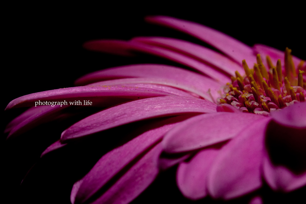 The world of macro　NO.4