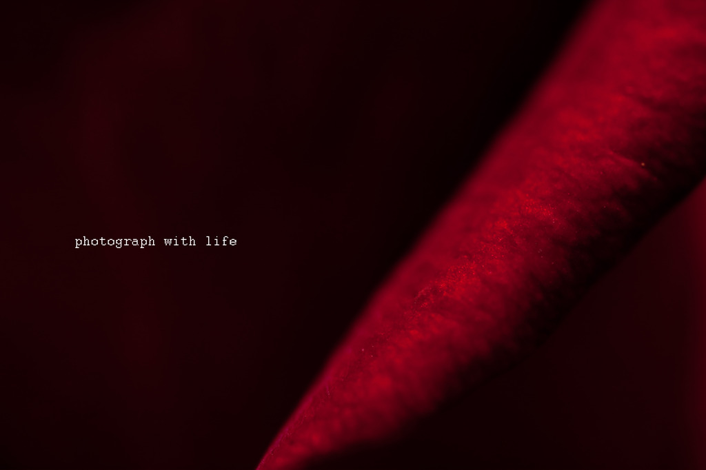 The world of macro　NO.12