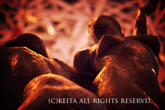 ブクロのビーナス