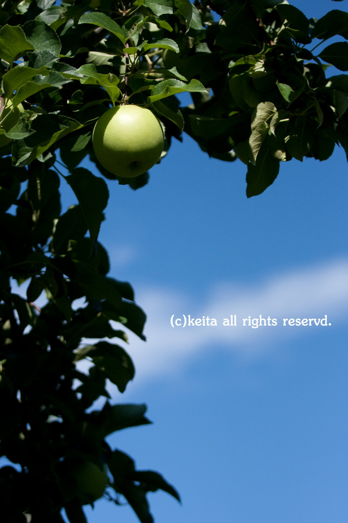 IMG_3344のコピー