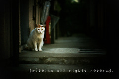 ジ～～～～～～～～いっと