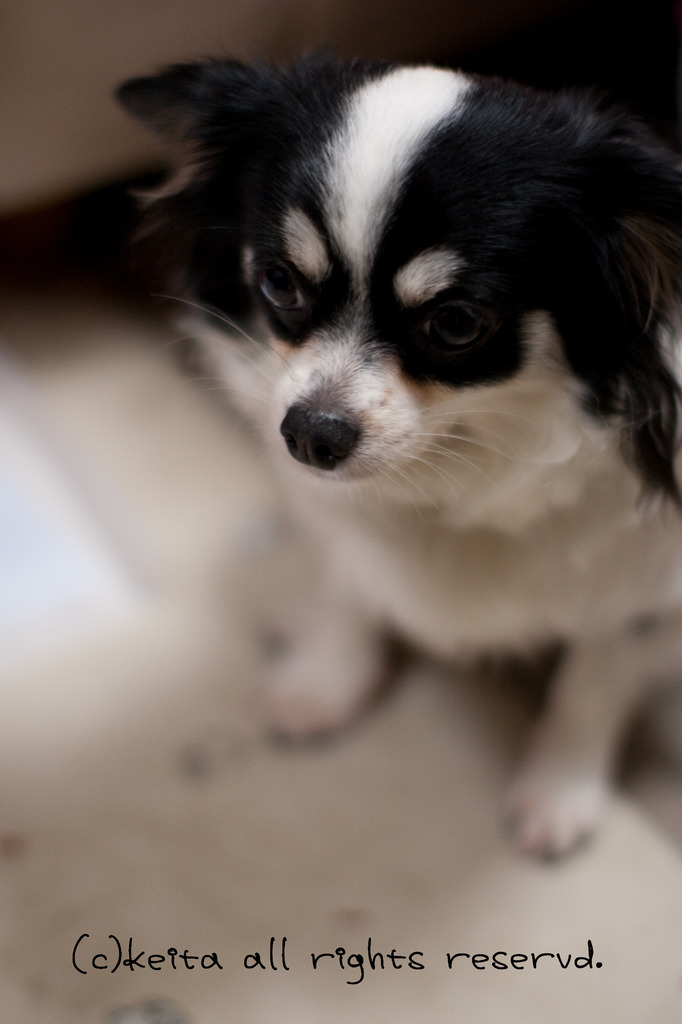 50L　ファーストショット！