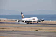 セントレア　A380